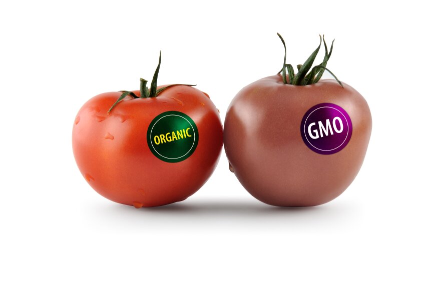 Organic Debate.jpg-8217